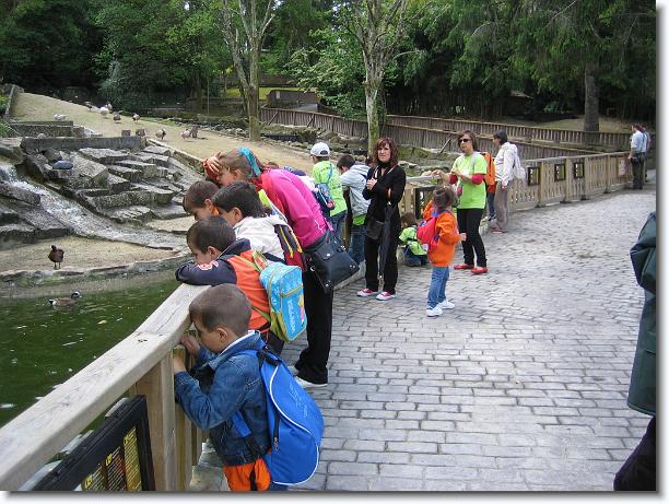 Diapositiva siguiente